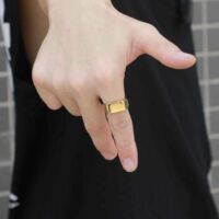 Acél Férfi Pecsétgyűrű - Arany
